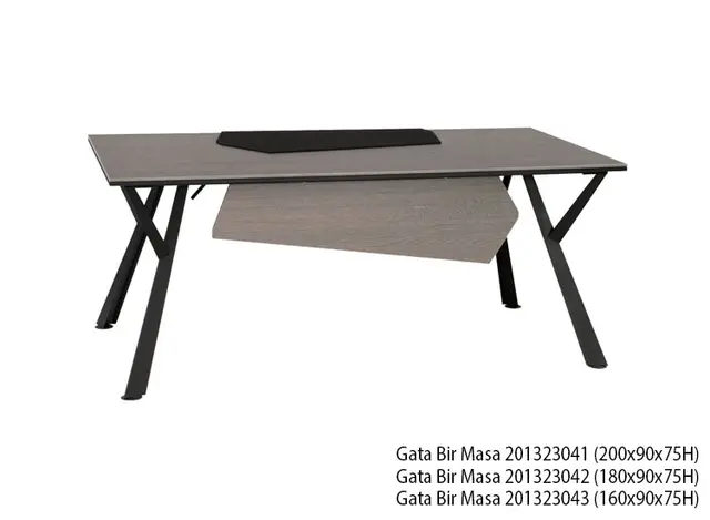 GATA 1